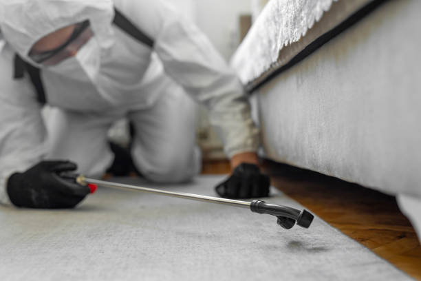 Professional Termite Control technician working in Rolesville, NC