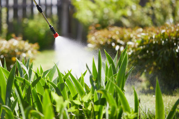 24/7 Emergency Termite Control experts in Rolesville, NC