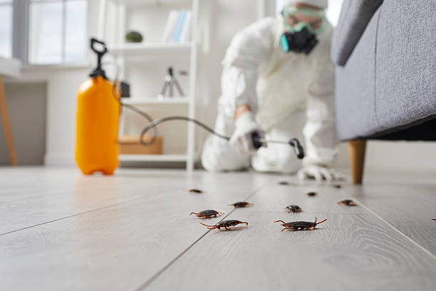 Trusted Rodent Control service in Rolesville, NC - Nex Pest Control